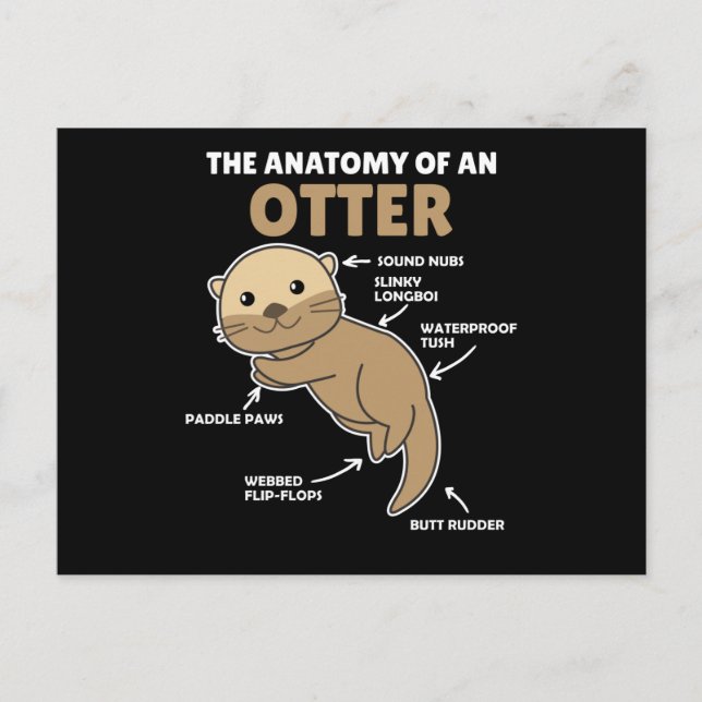 Cute Otter Explanation Anatomy Of An Otter Postcard (Front)