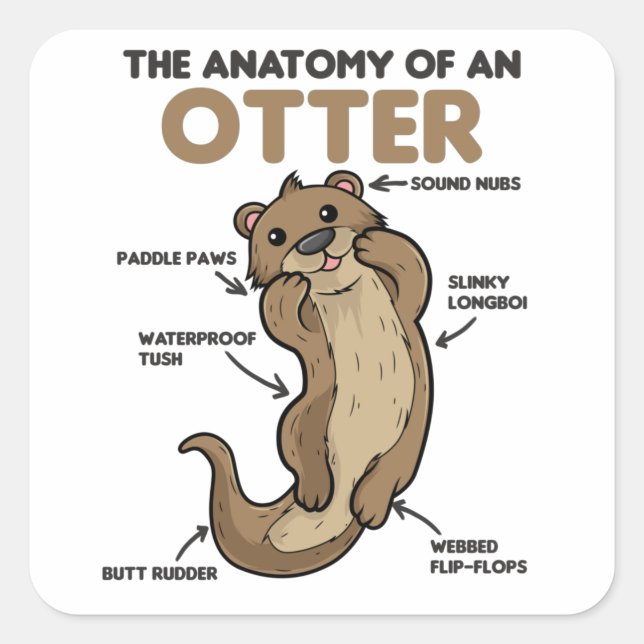 Cute Otter Explanation Anatomy Of An Otter Square Sticker (Front)