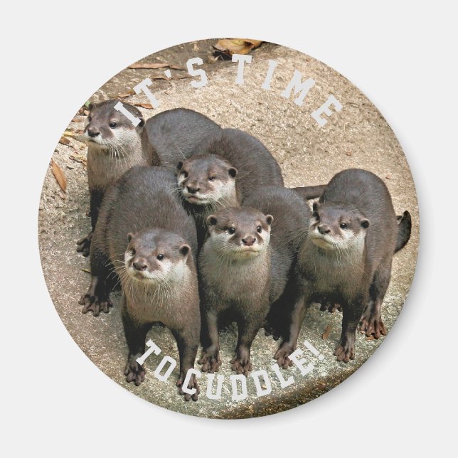 Cute Otter Family | Cuddle Time Magnet (Front)