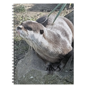 CUTE OTTER NOTEBOOK
