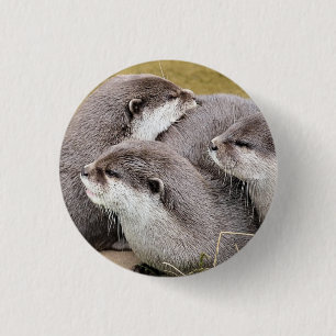 CUTE OTTERS 3 CM ROUND BADGE