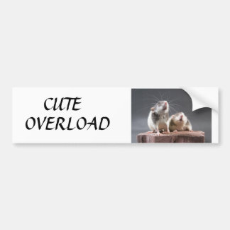 cute overload bumper sticker
