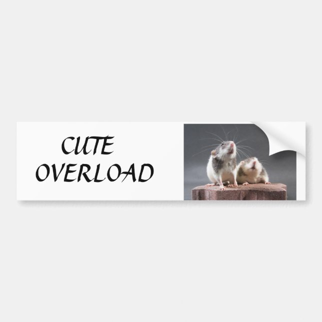 cute overload bumper sticker (Front)