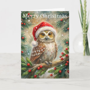Cute Owl at Christmas Holiday Card
