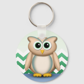 Cute Owl - Blue & Green Chevron Keychain