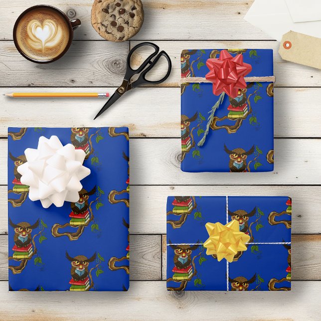 Cute Owl Books Wrapping Paper Sheet (Creator Uploaded)