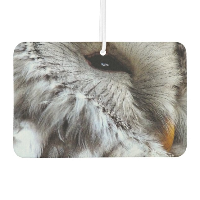 CUTE OWL CAR AIR FRESHENER (Front)