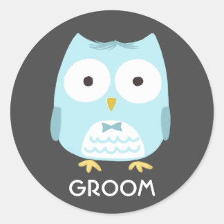 Cute Owl Groom | Funny Newlywed Husband Classic Round Sticker