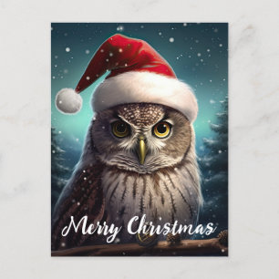 Cute Owl Happy Holidays Christmas Holiday Postcard