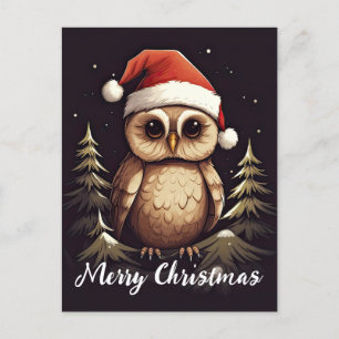 Cute Owl Happy Holidays Christmas Holiday Postcard