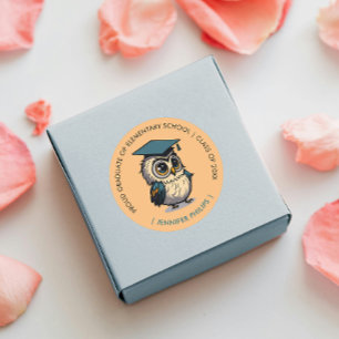 Cute Owl Kids  Graduation   Back To School Orange Classic Round Sticker