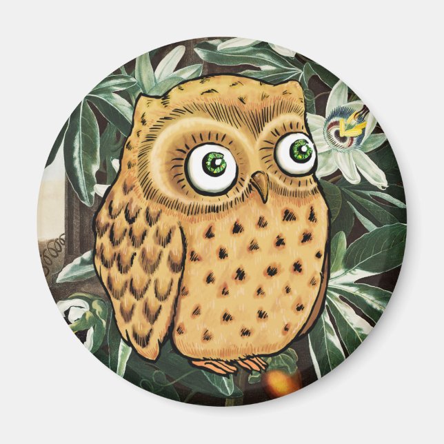Cute Owl Magnet (Front)