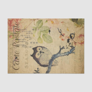 Cute Owl Pink Roses French Ephemera Decoupage Tis Tissue Paper