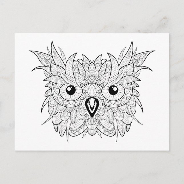 Cute Owl Portrait Doodle Postcard (Front)