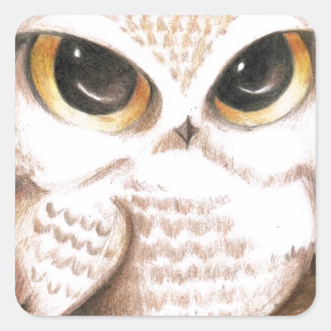 Cute Owl Square Sticker (Front)