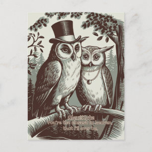 Cute Owl Valentine's Day Postcard