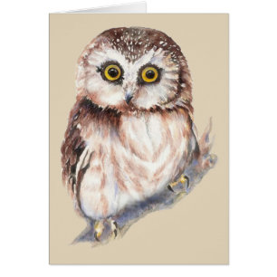 Cute Owl - Watercolor Bird Collection