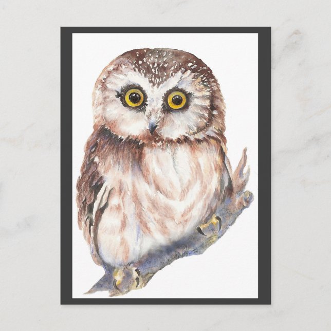 Cute Owl - Watercolor Bird Collection Postcard (Front)