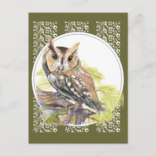 Cute Owl - Watercolor Bird, Wildlife, Nature Postcard (Front)