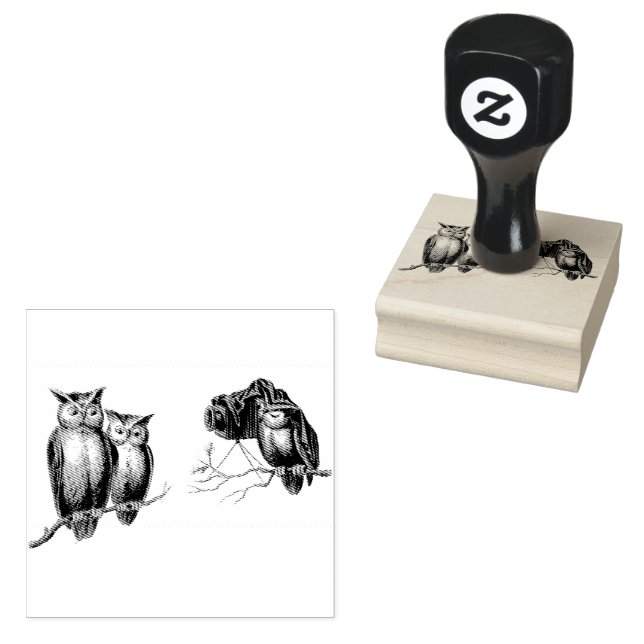 Cute Owls and Camera on Branches Birds Rubber Stamp (Stamped)
