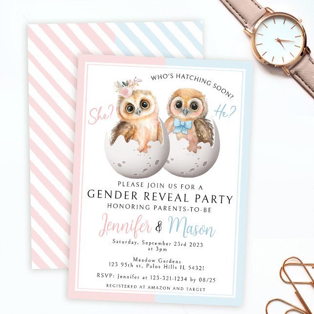 Cute owls pink blue gender reveal party Invitation (Creator Uploaded)