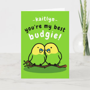 Cute Pair Green Budgies Funny Friendship Card