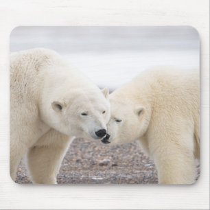 Cute Pair of Loving Polar Bears Mouse Pad