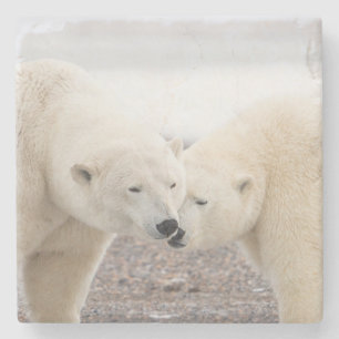Cute Pair of Loving Polar Bears Stone Coaster
