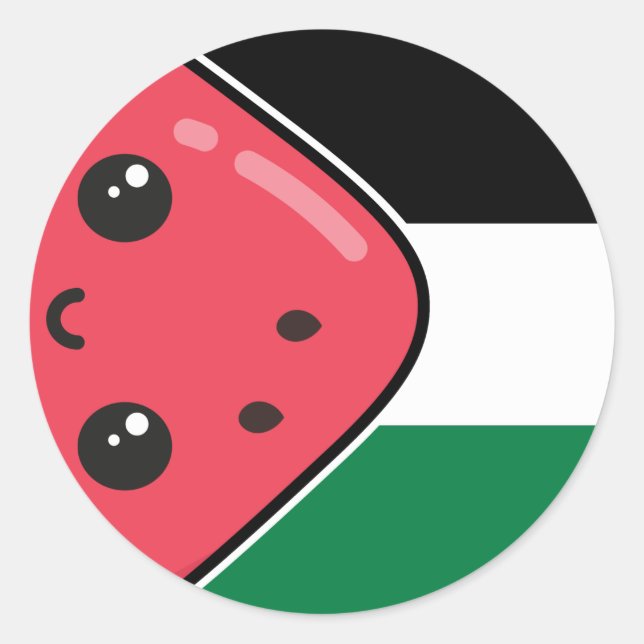 Cute Palestine flag with watermelon-Free Palestin  Classic Round Sticker (Front)