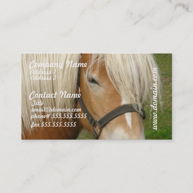 Cute Palomino Pony Business Cards (Front)