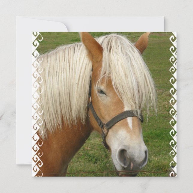 Cute Palomino Pony Invitations (Front)