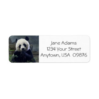 Cute Panda Bear, Personalised