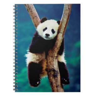 Cute Panda Bear Spiral Notebook