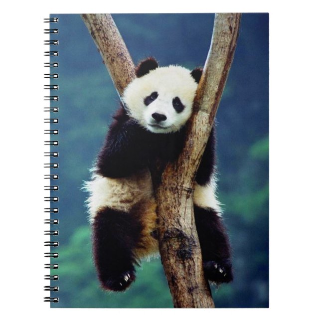 Cute Panda Bear Spiral Notebook (Front)