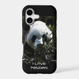 Cute Panda Bear with tasty Bamboo Leaves
