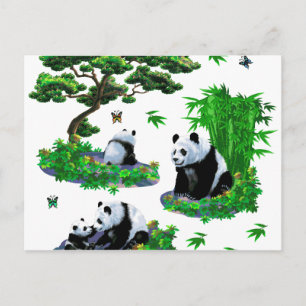 cute panda Cartoon Postcard