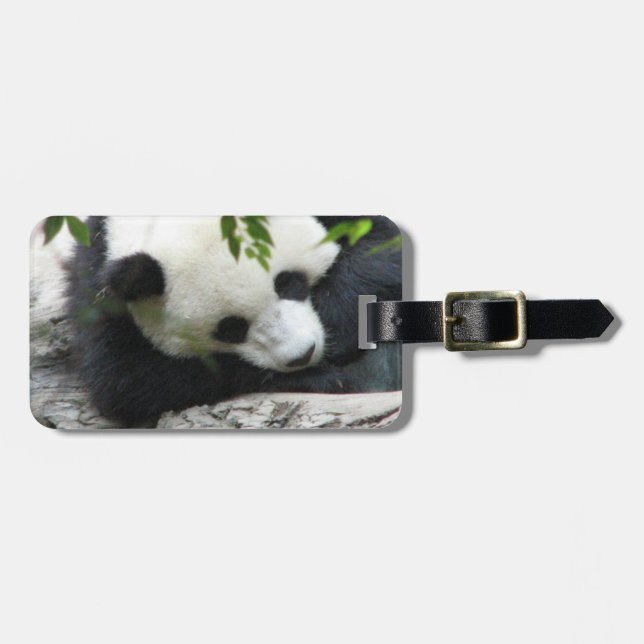 Cute Panda Luggage Tag (Front Horizontal)