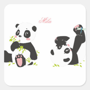 Cute pandas square sticker