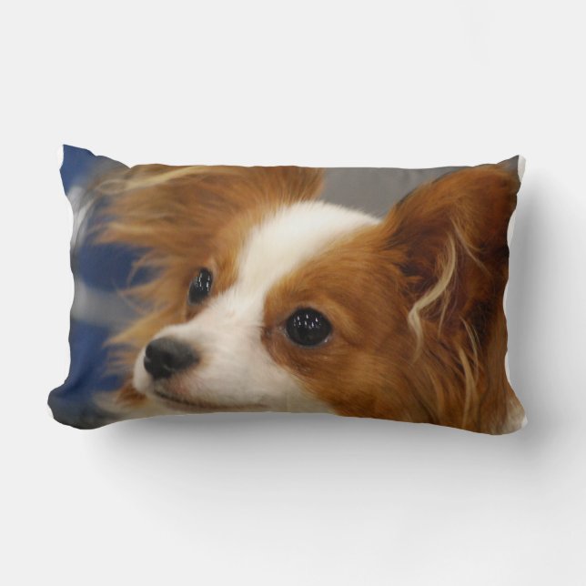 Cute Papillon Dog Lumbar Cushion (Front)
