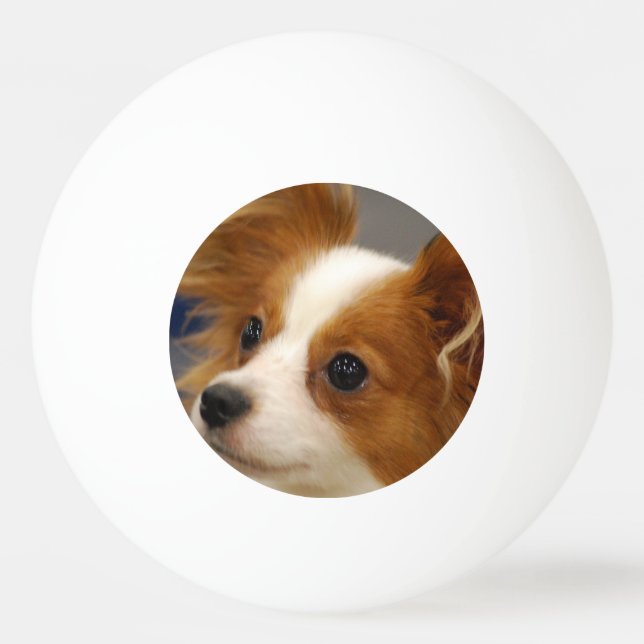 Cute Papillon Dog Ping Pong Ball (Front)