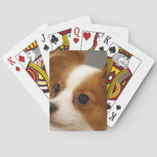 Cute Papillon Dog Playing Cards