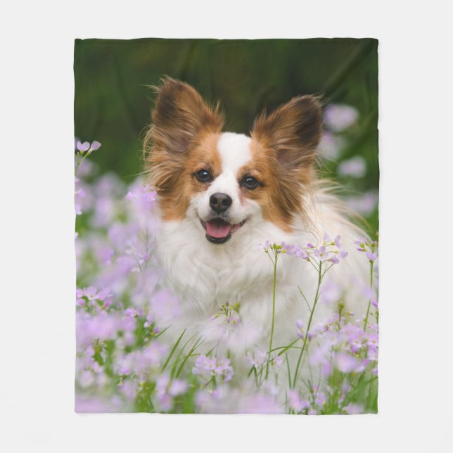 Cute Papillon Spaniel Head Photo for Dog Lovers -- Fleece Blanket (Front)
