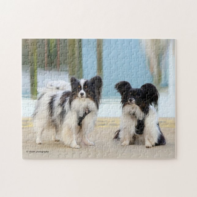 Cute Papillon Toy Spaniels Dogs at the Dock Jigsaw Puzzle (Horizontal)