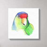 cute parakeet canvas