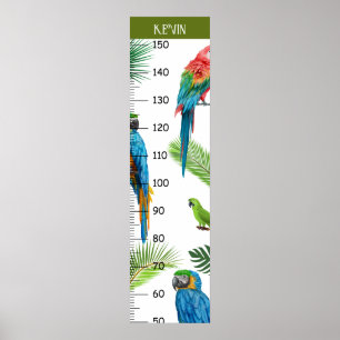 Cute Parrot Growth Chart