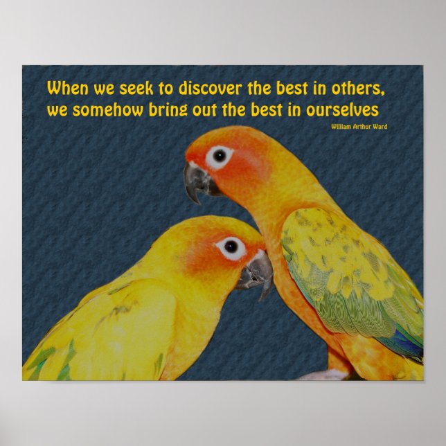 Cute Parrots Attitude Inspirational Poster (Front)