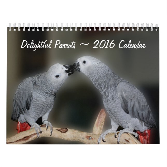 Cute Parrots  Calendar (Cover)