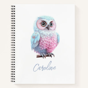 Cute Pastel Pink and Blue Cartoon Owl Notebook