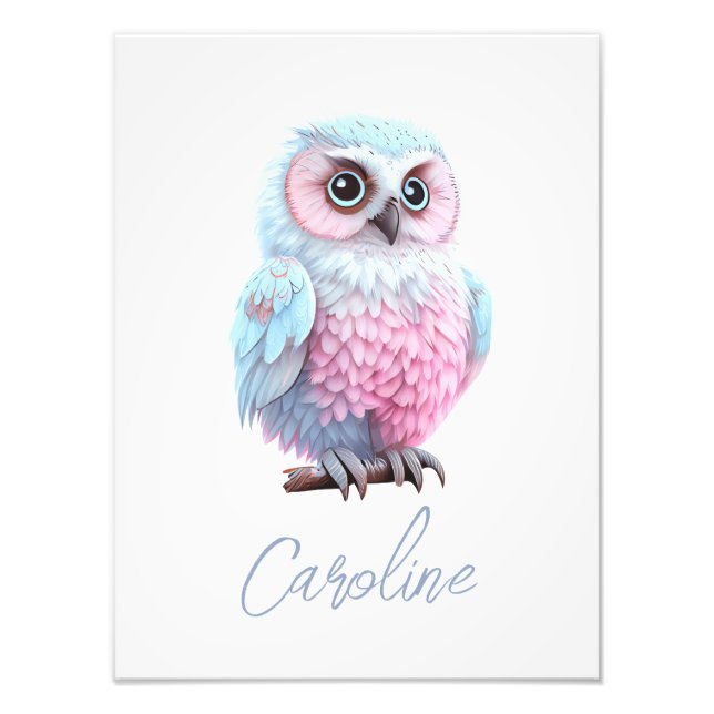 Cute Pastel Pink and Blue Cartoon Owl Photo Print (Front)