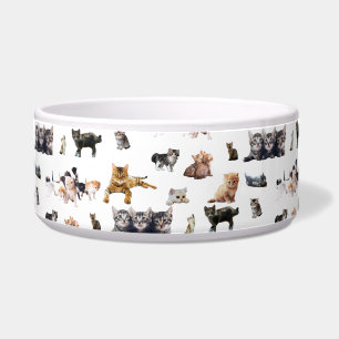 Cute pattern with photographs of Cats and kittens